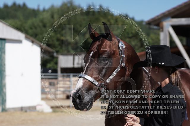 a_DSC05889.JPG